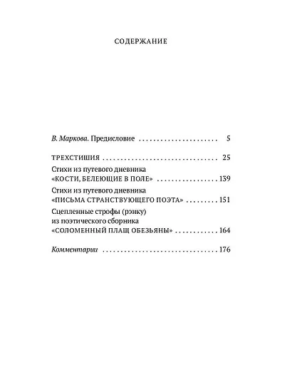 Письма странствующего поэта: стихи - фото 2