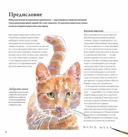 Животные акварелью. Пособие по анималистическому рисунку. 8 пошаговых уроков - фото 5