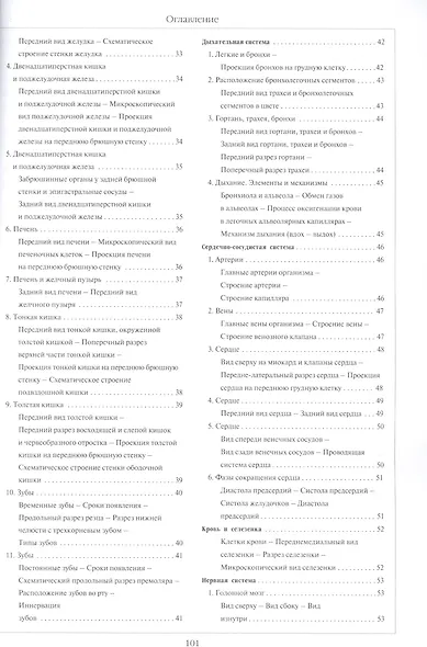 Атлас анатомии человека - фото 3