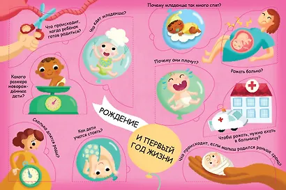 Волшебные окошки. Откуда берутся дети? - фото 11