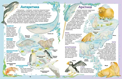 Атлас животных в картинках. Путешествие вокруг света - фото 11