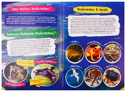 Животный мир. Активити-энциклопедия для детского сада (+ плакат) - фото 2