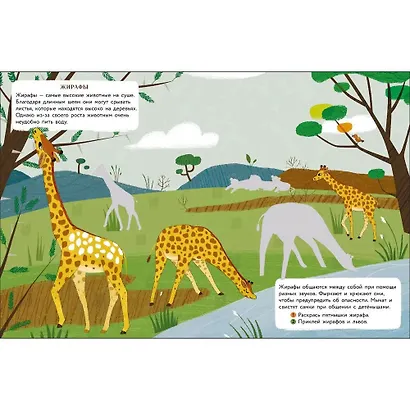 Мир животных. В Африке. 60 наклеек - фото 4
