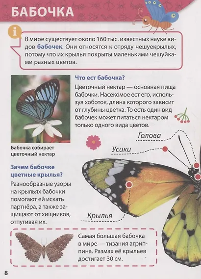 ЭНЦИКЛОПЕДИЯ ДЛЯ МАЛЕНЬКИХ ПОЧЕМУЧЕК. Насекомые - фото 3