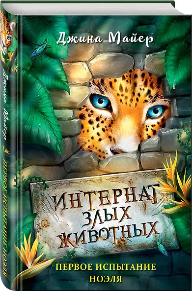 Первое испытание Ноэля - фото 3