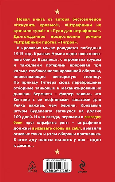 Штрафники вызывают огонь на себя. Разведка боем - фото 2