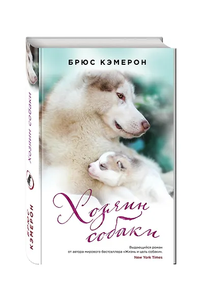 Хозяин собаки - фото 3