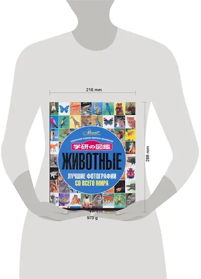 Животные. Лучшие фотографии со всего мира. Уникальное издание японских дизайнеров - фото 2