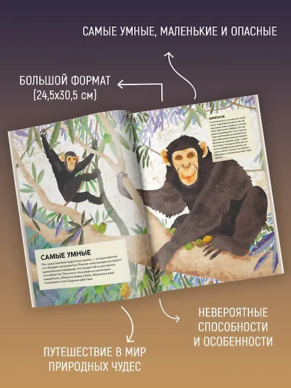 Удивительные животные. Самые-самые - фото 4