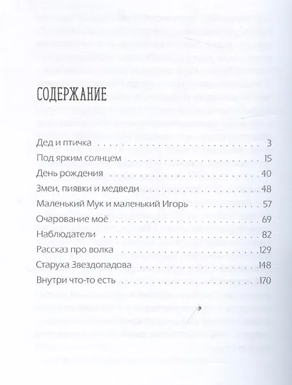 Наблюдатели - фото 7