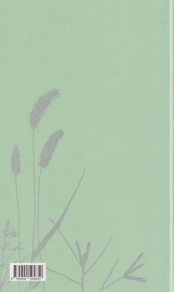 Книга об американской поэзии - фото 2