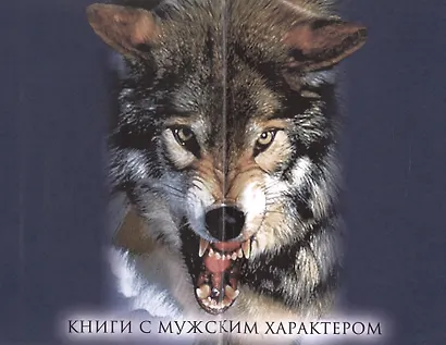 Княгиня Ольга. Пламенеющий миф - фото 8