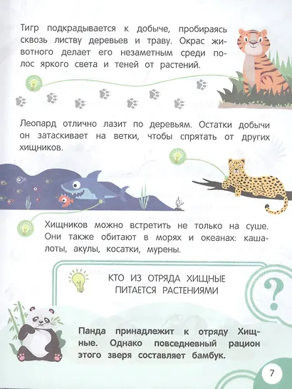 Моя первая книга открытий: для детей от 4-х лет - фото 6