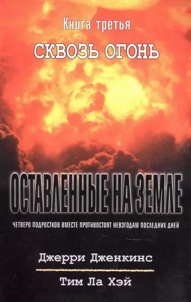 Оставленные на земле. Книга 3. Сквозь огонь - фото 1