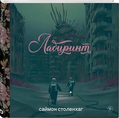 Лабиринт - фото 3