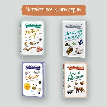 Лесные животные - фото 10