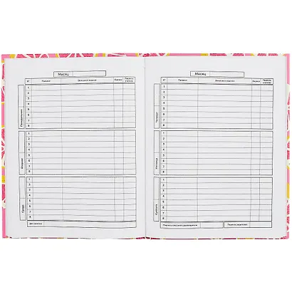 Дневник школьный Феникс+, "Грейпфрут" - фото 2