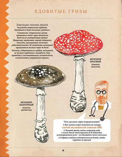 Грибы. Удивительные и малоизвестные факты из жизни грибов - фото 6