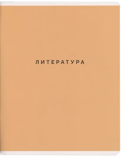 Тетради 48 листов 12 штук "Block" - фото 12