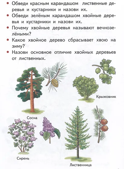 Изучаем окружающий мир (5-6 лет) - фото 4