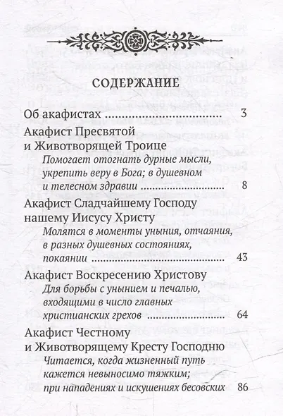 Акафисты, читаемые в болезнях, скорбях и особых нуждах - фото 2