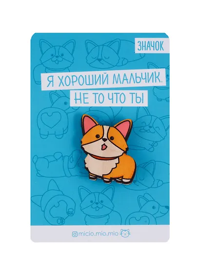 Значок на подложке Хороший мальчик   3877274 - фото 1