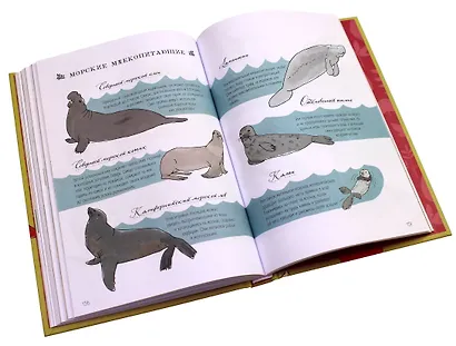 Анатомия природы. Занимательные детали мира природы - фото 10