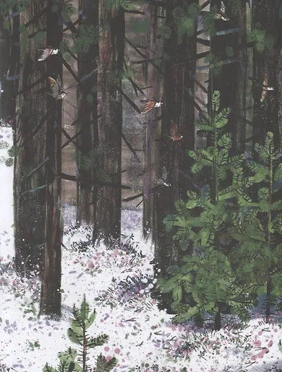 На Север. Путешествие всед за чайкой - фото 4