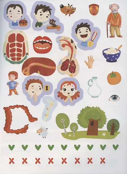 Анатомия. Играй и приклеивай - фото 4