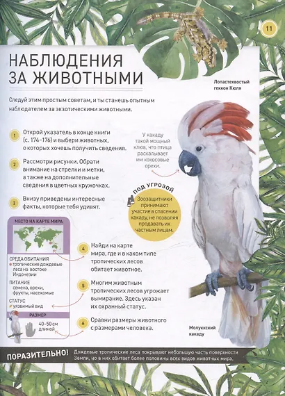 Удивительные животные. Полная энциклопедия - фото 6
