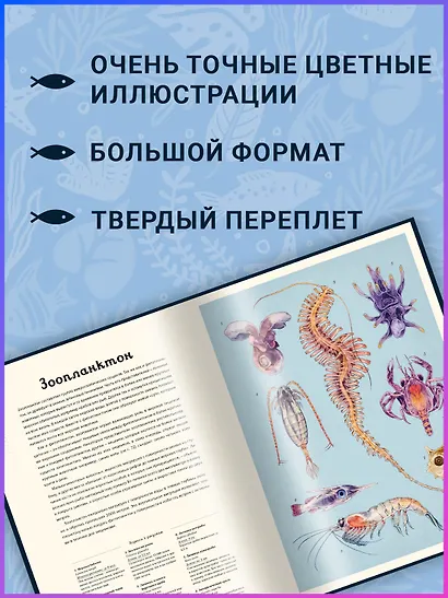 Океанариум - фото 5