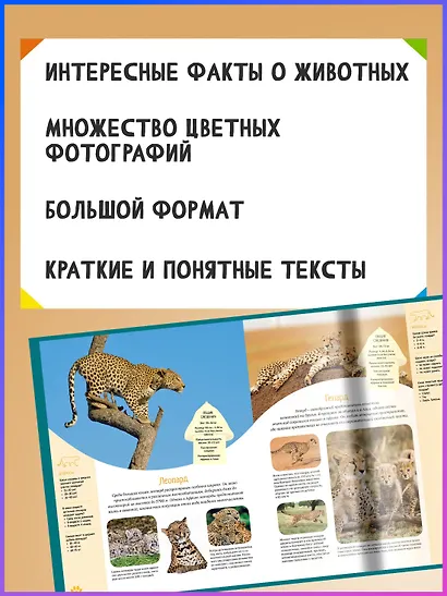 Красочный мир животных - фото 4