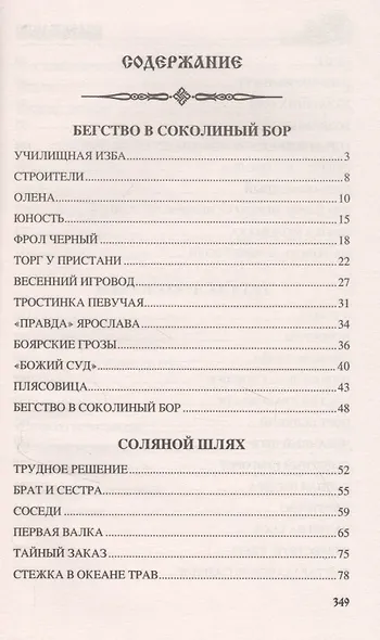 Бегство в Соколиный Бор - фото 2