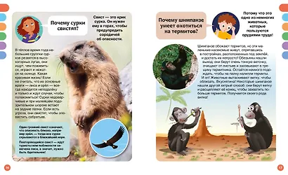 Почему? Вопросы и ответы обо всём на свете - фото 13