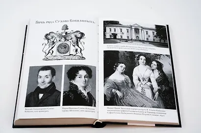 Драма снежной ночи: Роман-расследование о судьбе и уголовном деле Сухово-Кобылина - фото 9