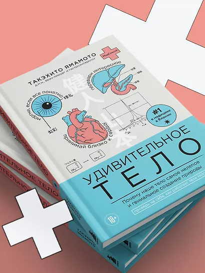 Удивительное тело. Почему наше тело самое нелепое и гениальное создание природы - фото 11