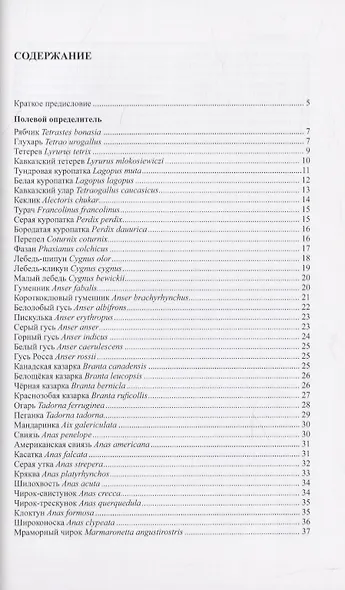 Птицы Европейской части России (комплект из 2 книг) - фото 8