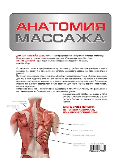 Анатомия массажа - фото 2