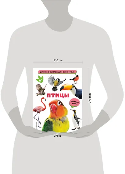 Птицы - фото 10