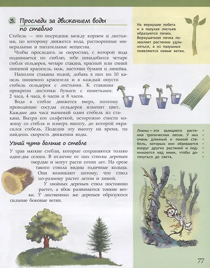 Изучай и пробуй. Большая книга о профессиях с заданиями - фото 5