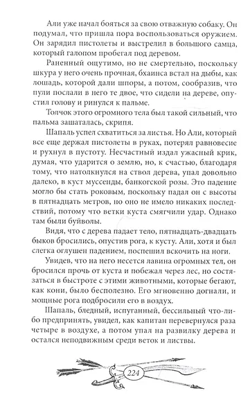 Капитан "Ямуны" - фото 6