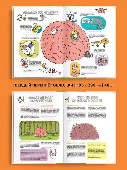 Супермозг. Детские вопросы про интеллект и память - фото 5