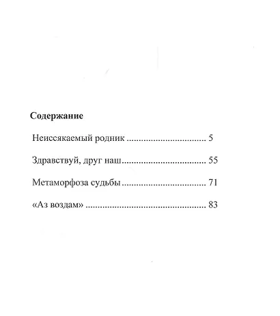 Неиссякаемый родник - фото 2