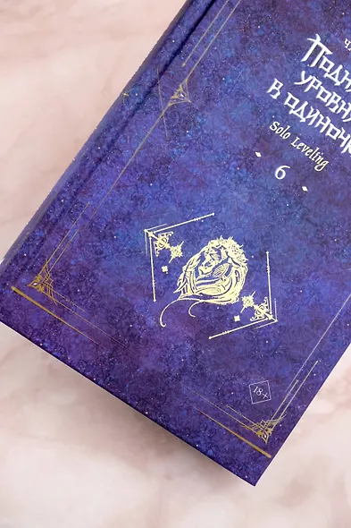 Поднятие уровня в одиночку. Книга 6 (Solo Leveling). Новелла - фото 8