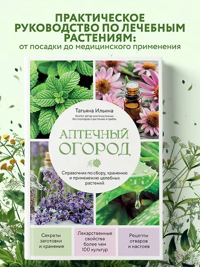 Аптечный огород. Справочник по сбору, хранению и применению целебных растений (новое оформление) - фото 4