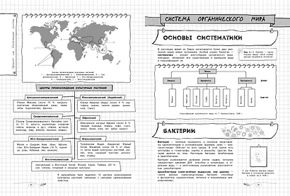 Биология. 5-11 классы. Справочник в наглядных конспектах - фото 9
