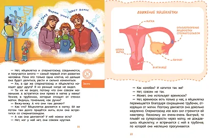 Откуда берутся дети. Детская энциклопедия (Чевостик) - фото 4