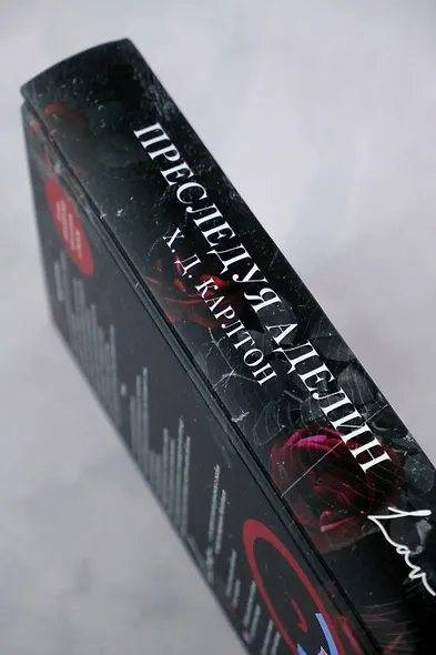 Преследуя Аделин - фото 10