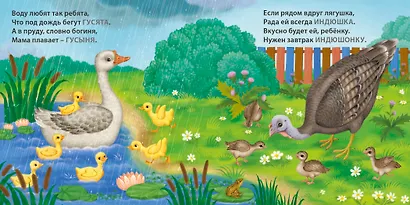 Мамы и малыши. Домашние животные. Загадки - рифмы - фото 7