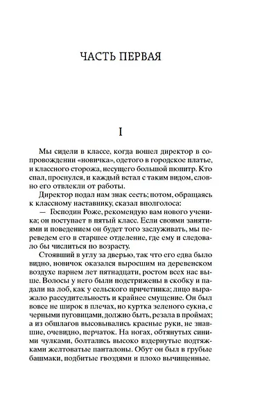 Госпожа Бовари - фото 8